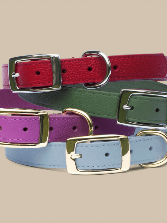 Designer Leather Red Dog Collars Australia - Shop Online With BOco