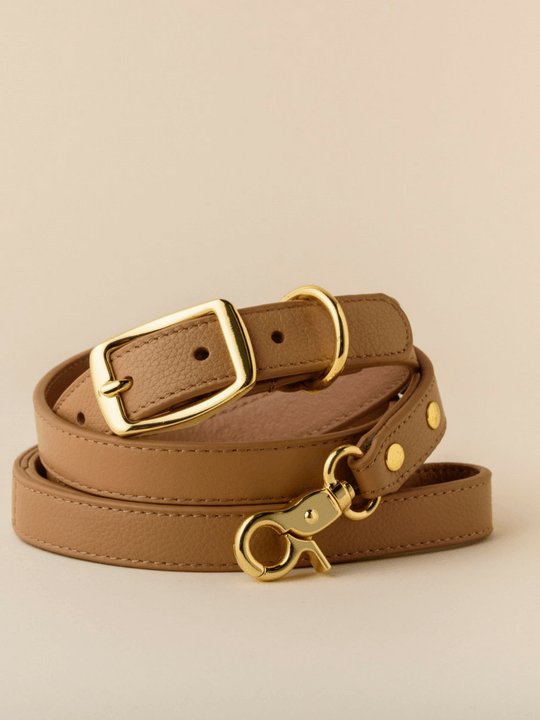 Designer Leather Tan Dog Collars Australia - Shop Online With BOco